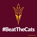 ASU-BEATTHECATS